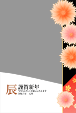 可憐な菊の花びら - 14